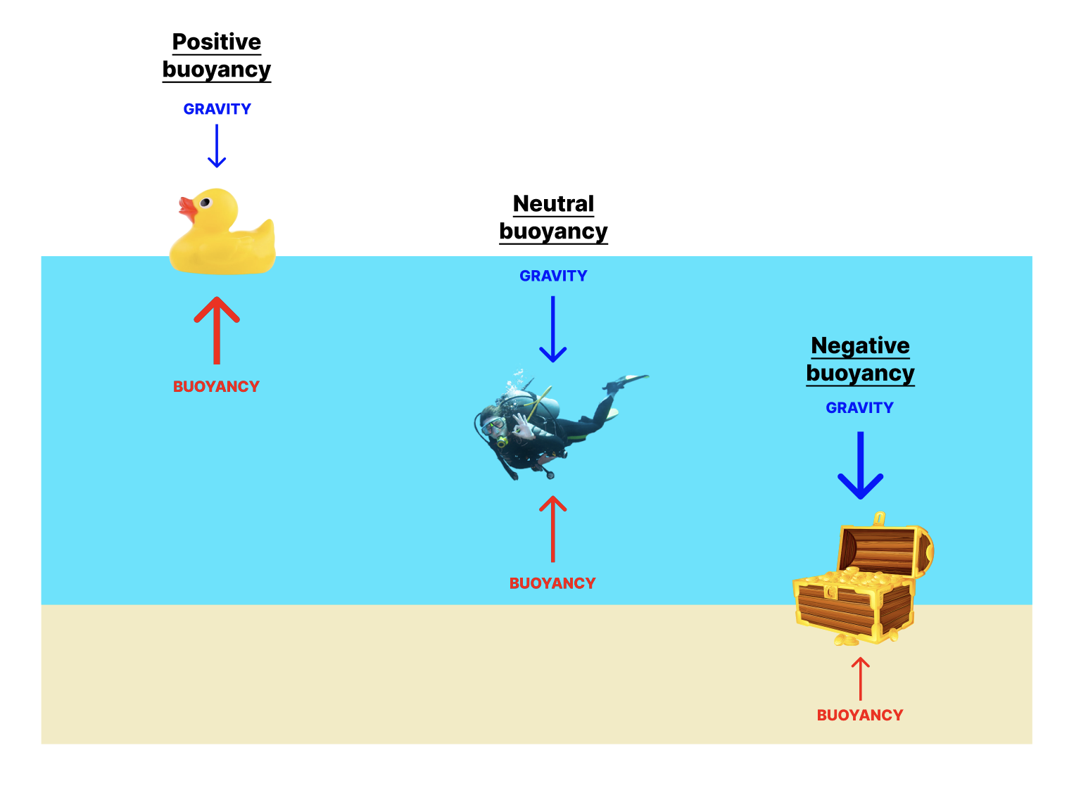 Why are you more buoyant in salt water? — Today You Should Know